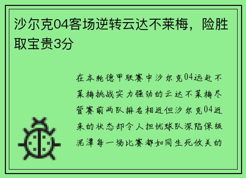 沙尔克04客场逆转云达不莱梅，险胜取宝贵3分