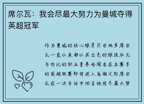 席尔瓦：我会尽最大努力为曼城夺得英超冠军